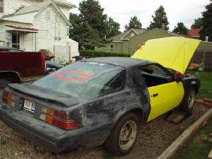 12009.jpg